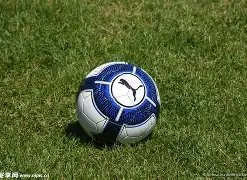 欧洲区预选,赛射手榜揭,罗独揽,乐鱼体育,LeYu,Sports,乐鱼体育官网,乐鱼体育官网,乐鱼体育下载