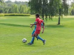 乐鱼体育,资讯,LeYu,乐鱼体育,LeYu,Sports,乐鱼体育官网,乐鱼体育官网,乐鱼体育下载