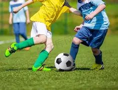 乐鱼体育,资讯,LeYu,乐鱼体育,LeYu,Sports,乐鱼体育官网,乐鱼体育官网,乐鱼体育下载