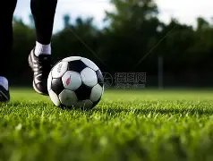 申花队喜迎,续约特谢拉,佳音,乐鱼体育,LeYu,Sports,乐鱼体育官网,乐鱼体育官网,乐鱼体育下载