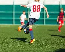 埃及联赛杯,赛三冠王征,连续三战零,乐鱼体育,LeYu,Sports,乐鱼体育官网,乐鱼体育官网,乐鱼体育下载