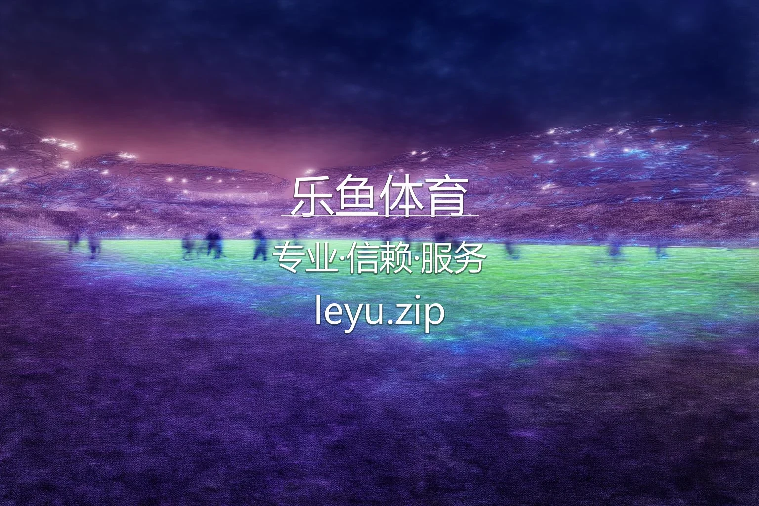 乐鱼体育官方平台展示
