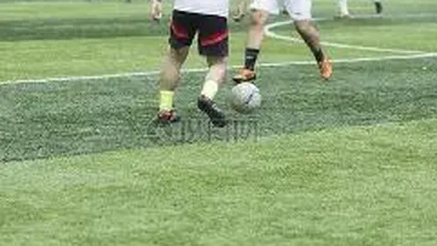 乐鱼体育 资讯 175420 o61