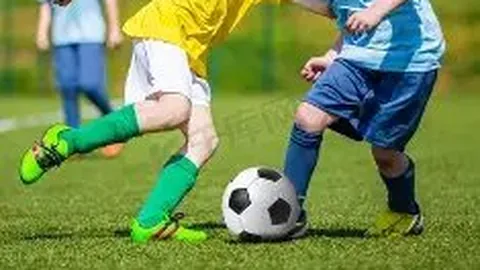 乐鱼体育 资讯 175516 dyx