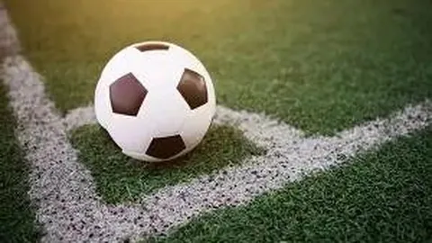 乐鱼体育 资讯 175533 og3