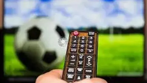 乐鱼体育 资讯 084448 sdf