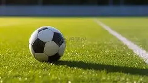 乐鱼体育 资讯 084531 jn3