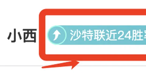 奥运女足激战升级：美日对决激烈，罗德曼之女和史密斯率队，熊谷沙希参赛竞技